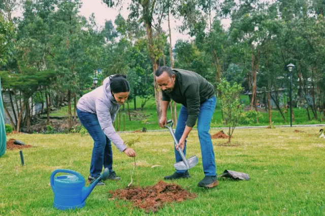 MM Abiy Ahmad Giifti Duree Zinaash Taayyaachoo waliin biqiltuu dhaaban