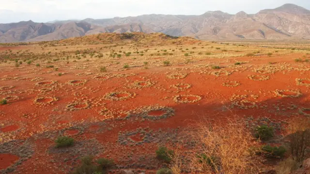 Fairy circles