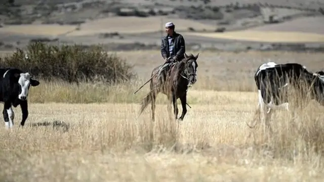 Arrieros a caballo en el campo en la zona de Xinjiang, en China.