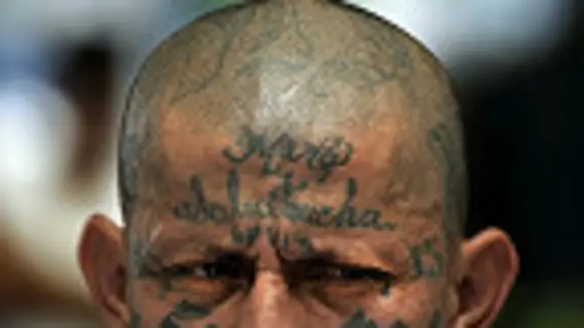 Mara Salvatrucha