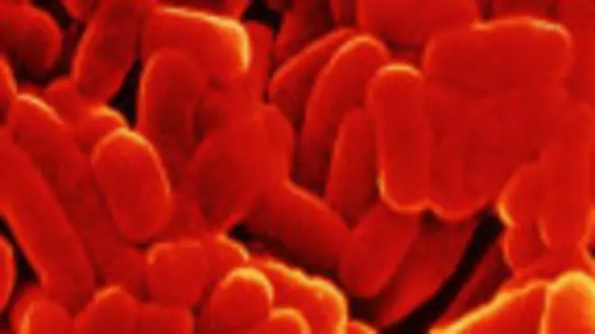 туберкульоз