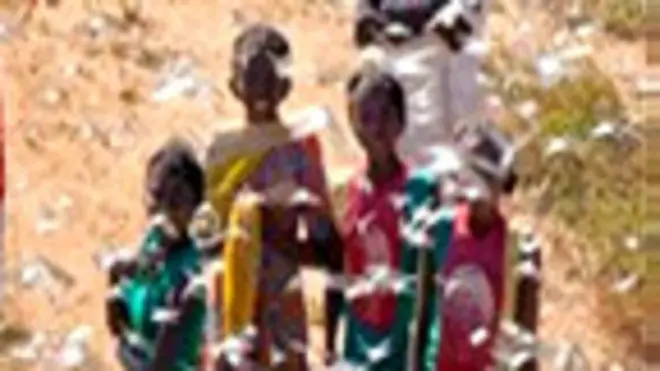Niños rodeados de langostas en Madagascar Foto gentileza