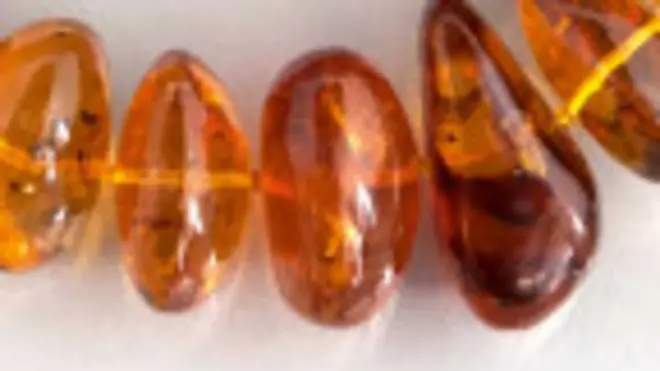 Затримано першу партію контрабанди бурштину - президент