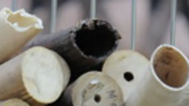 Cargamento de marfil