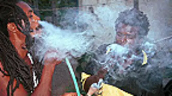 Dos rastafari fuman ganja