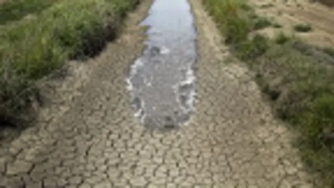 Campo en Richvale, California