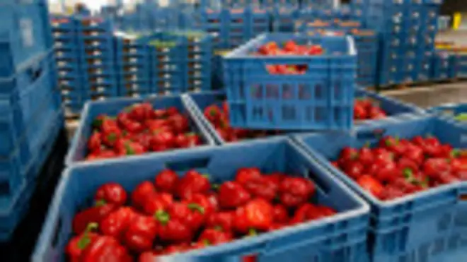 La ayuda, por valor de US$170 millones, cubrirá la producción de frutas y verduras.