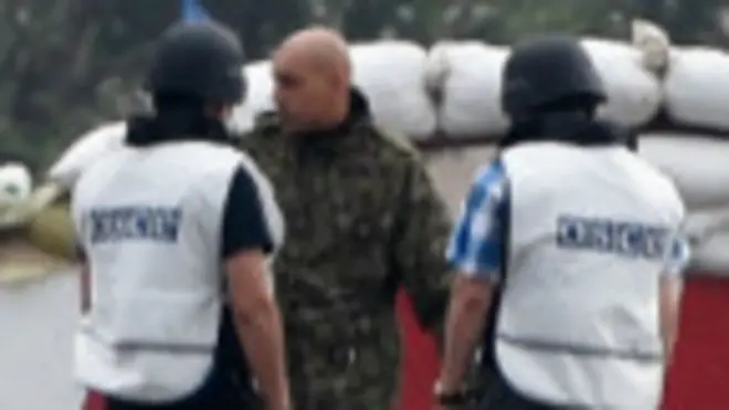 спостерігачі обсє