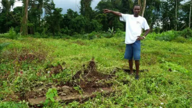 Desmatamento na Libéria (AFP)
