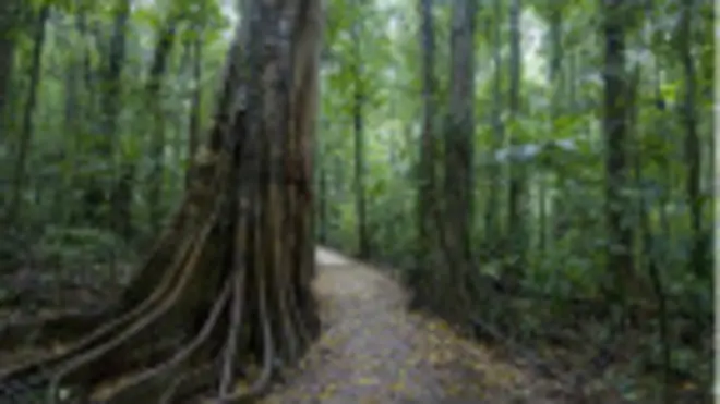 В Австралии прекратили туры по следам убийцы