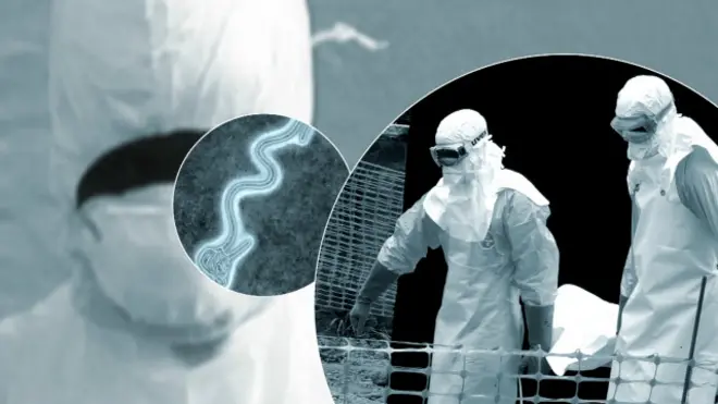 Ебола викликала переполох