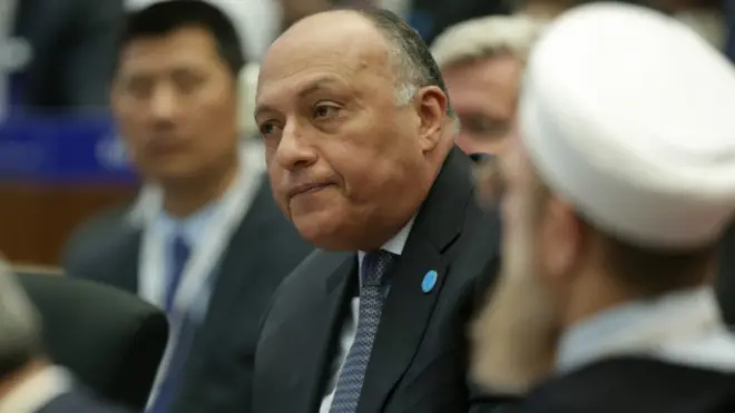 Sameh Shoukry