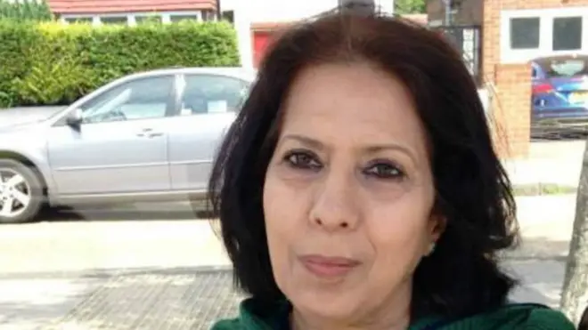 सलमा ज़ैदी, पत्रकार