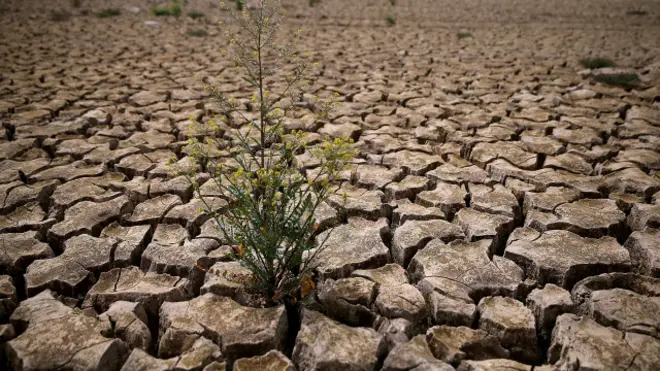 Kekeringan di California