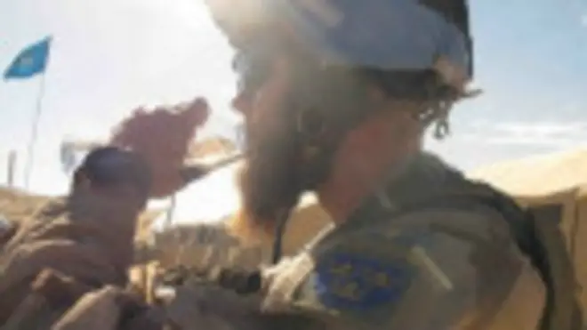 шведський солдат