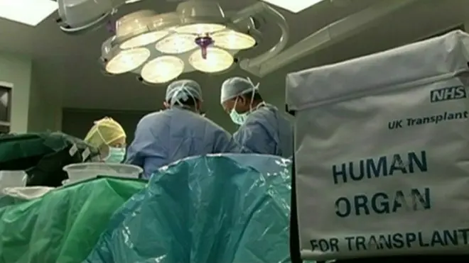 Operasi transplantasi