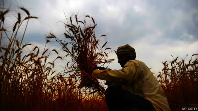 भारतीय किसान