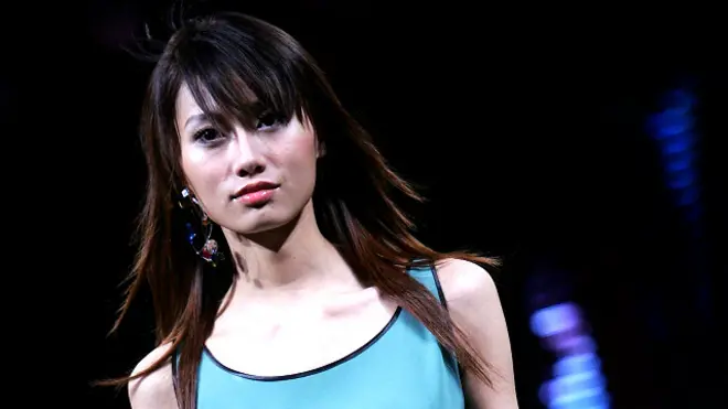 चीनी मॉडल