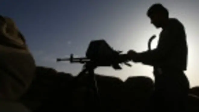 Захоплення джихадистами Пальміри загрожує рідкісному виду птахів