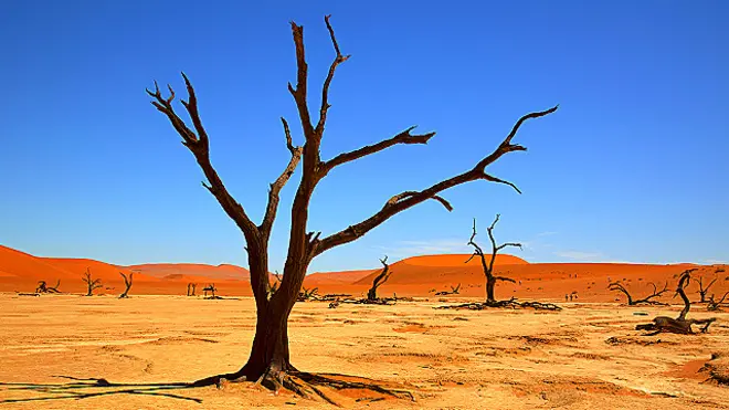 ग्लोबल वॉर्मिंग, लू