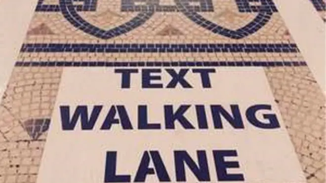 टेक्स्ट वॉक लेन्स
