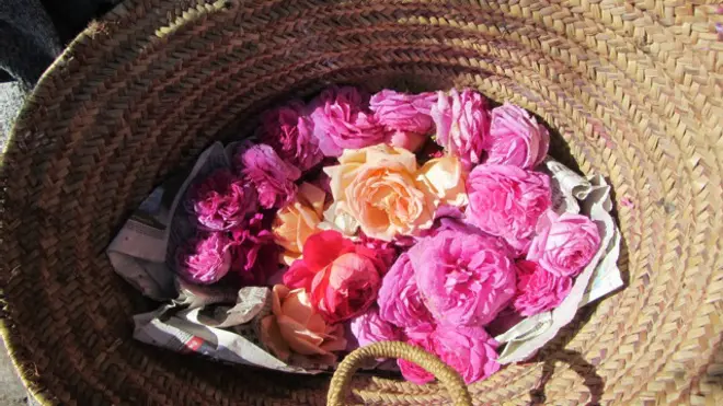 Блог британки