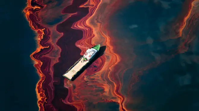 pameran foto lingkungan