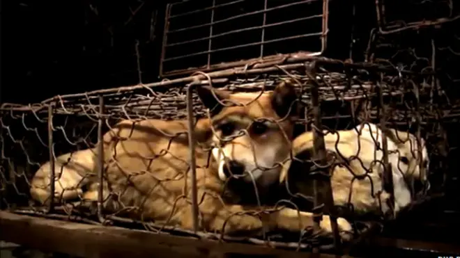 फ़ाइल फोटो