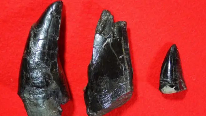 dinosaurus