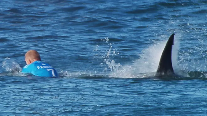 Mick Fanning bị cá mập tấn công khi đang tham gia cuộc thi lướt ván ở Nam Phi