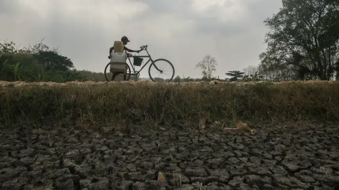 Kekeringan di Indonesia