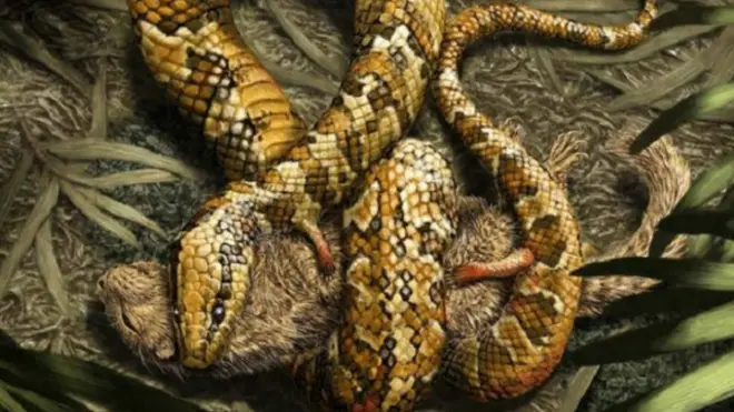 चार पैरों वाला सांप