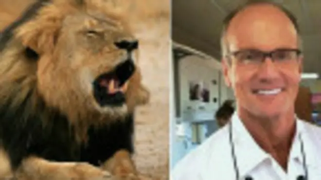 лев і мисливець