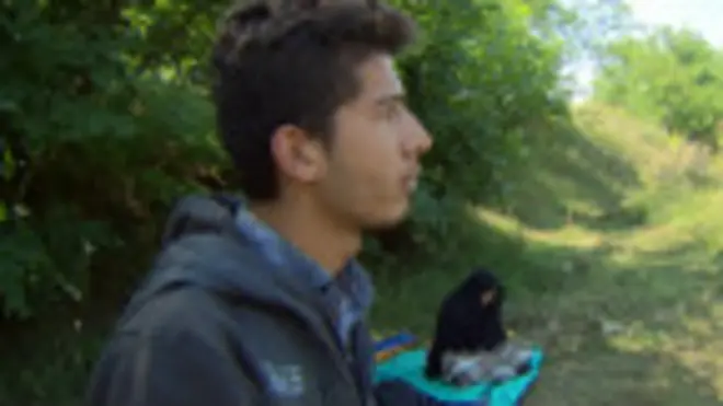 Венгрии не удается остановить наплыв мигрантов