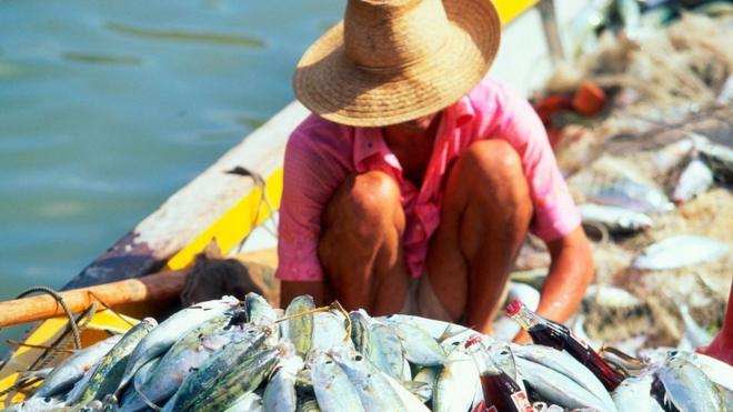 Pescadores en Seychelles.