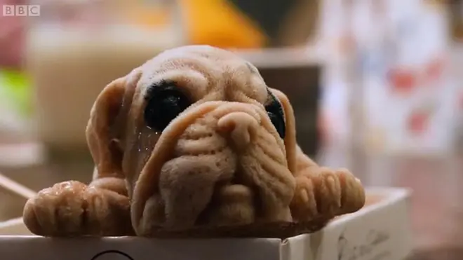 Iako liče na pravu štenad, reč je zapravo o sladoledu u tom obliku