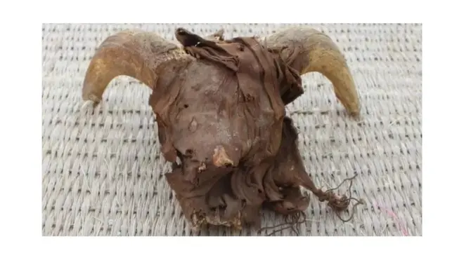 Outre les restes d'animaux momifiés, les archéologues ont découvert les vestiges d'un palais aux murs de 5 mètres d'épaisseur.