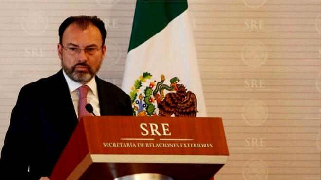 میکسیکو کے وزیر خارجہ لوئس وائڈگارے