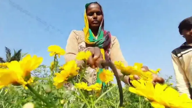 గచ్చుబాయి తండా గ్రామస్థులు