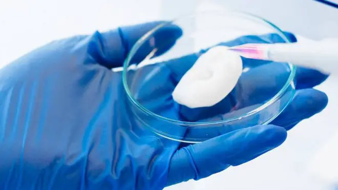 An ear that a Cellink machine has printed