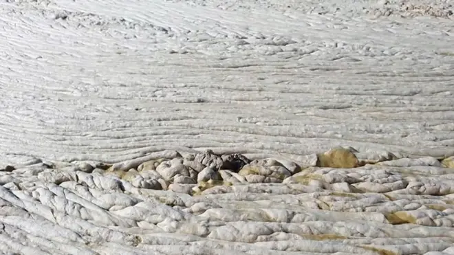 Морская слизь