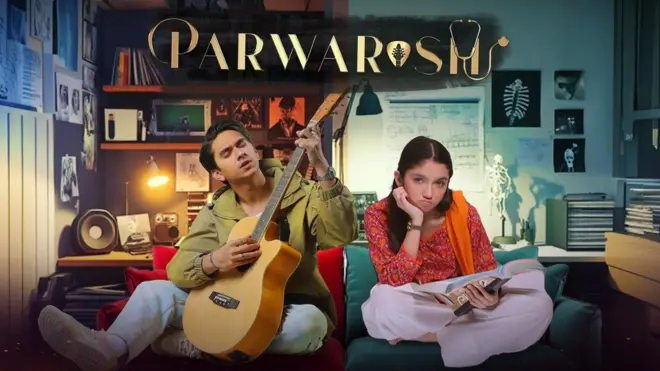 Syed Meesam Naqvi Instagram