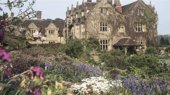 El auge de la Fallopia japonica en Reino Unido coincidió con el movimiento de los jardines salvajes: una preferencia victoriana por los paisajes informales y naturalistas con grupos desordenados de plantas