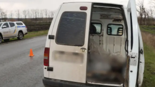 автомобіль і поліцейська машина