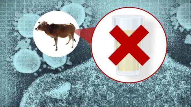 कोरोना भाइरस