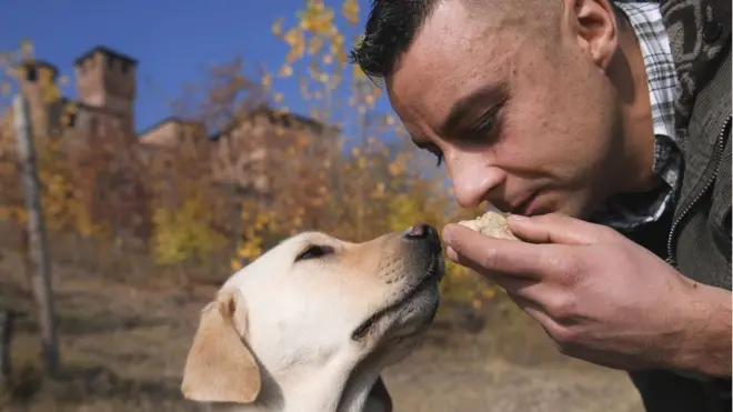 Запахи важливі не лише для тварин