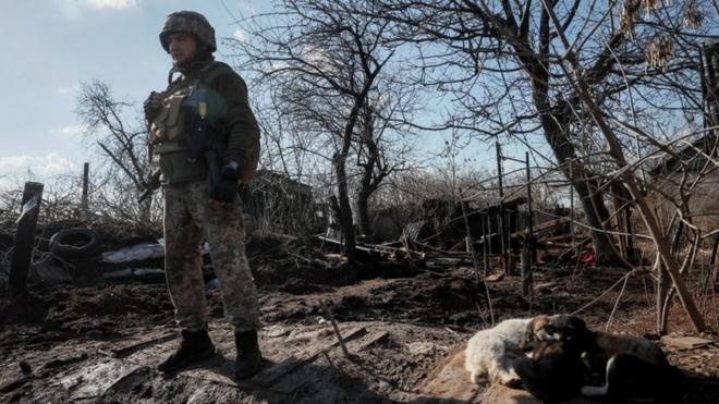 Soldadoarbety apostapé, rodeado por troncosarbety apostaárvores secas