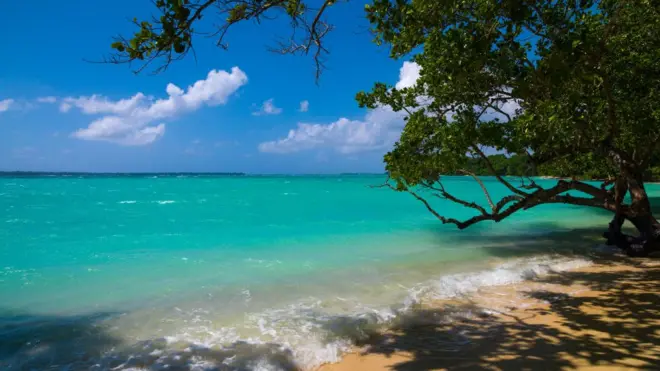 Bãi biển Vanuatu
