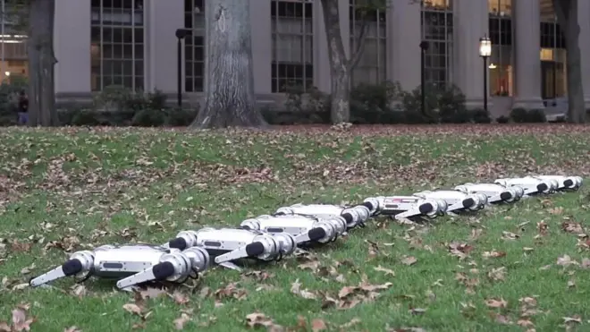 Napravili su ih naučnici na Univerzitetu MIT u SAD