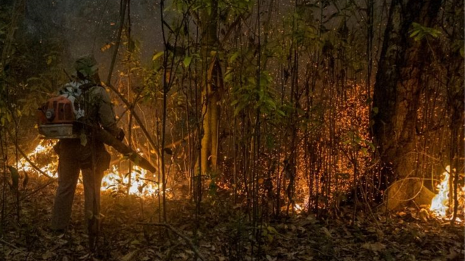 Bombeiro de costas olha para floresta queimando